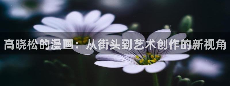 韩漫画免费漫画在线阅读：高晓松的漫画：从街头到艺术创作的新视角