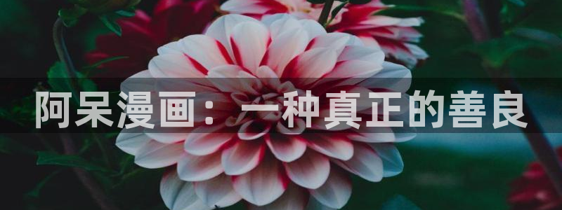看免费韩漫漫画软件：阿呆漫画：一种真正的善良